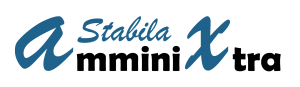 Logo Amminixtra Stabila